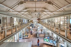 ARTIS-Groote Museum | OPENING