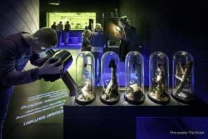 a123-4_original