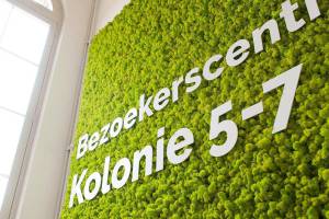 a134-landloperskolonie-2_original