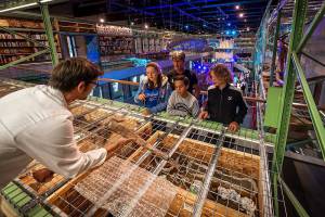 a246-livescience-dinolab-2-koen-mol-fotografie_original
