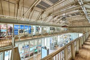 a372-artis-groote-museum-10-westzaal-artis-maarten-van-der-wal_original