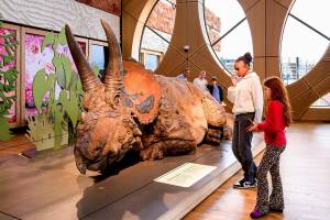Triceratops_-de-kudde---slapende-Triceratops---foto-Mike-Bink_Naturalis-Biodiversity-Center_original