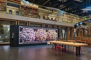 Halcyongallery-Naturalis-DHarris-2511_24-0108_Panorama-kopie_original