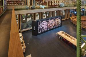 Halcyongallery-Naturalis-DHarris-2511_24-0147_Panorama-kopie_original
