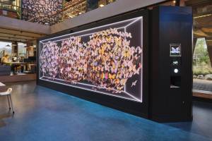 Halcyongallery-Naturalis-DHarris-2511_24-0358-kopie_original