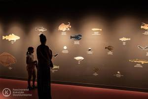 Opening-Navigo-Visserijmuseum-SOF-1304_original